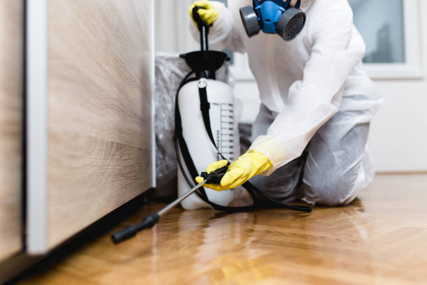 Best Local Pest Control Services  in Ten Mile Creek, MD