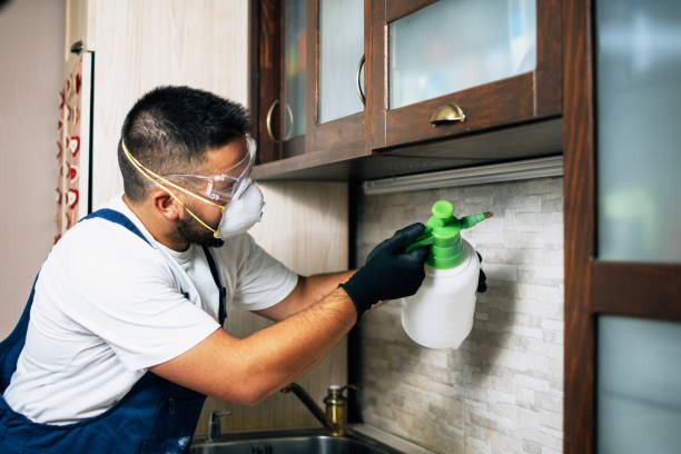 Best Flea Control Services  in Ten Mile Creek, MD