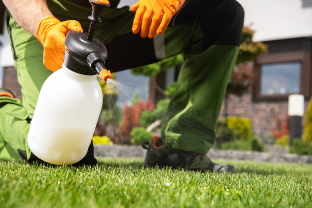 Best Mosquito Control Services  in Ten Mile Creek, MD