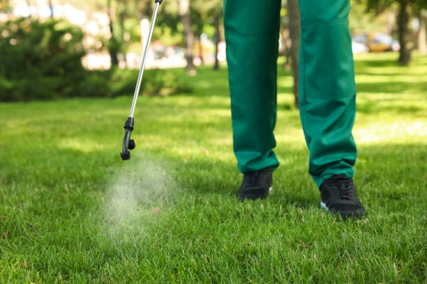 Best Affordable Pest Control Services  in Ten Mile Creek, MD