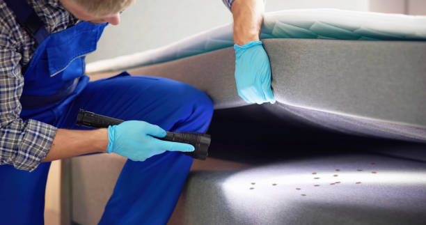 Reliable Ten Mile Creek, MD Pest Control Solutions