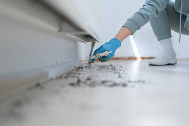 Best Best Pest Control Companies  in Ten Mile Creek, MD
